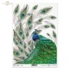 peacock, peacocks, peacock tail, peacock eyes, tren, feathers